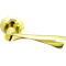 Ручка дверная на круглой розетке MORELLI MH-01 GP золото